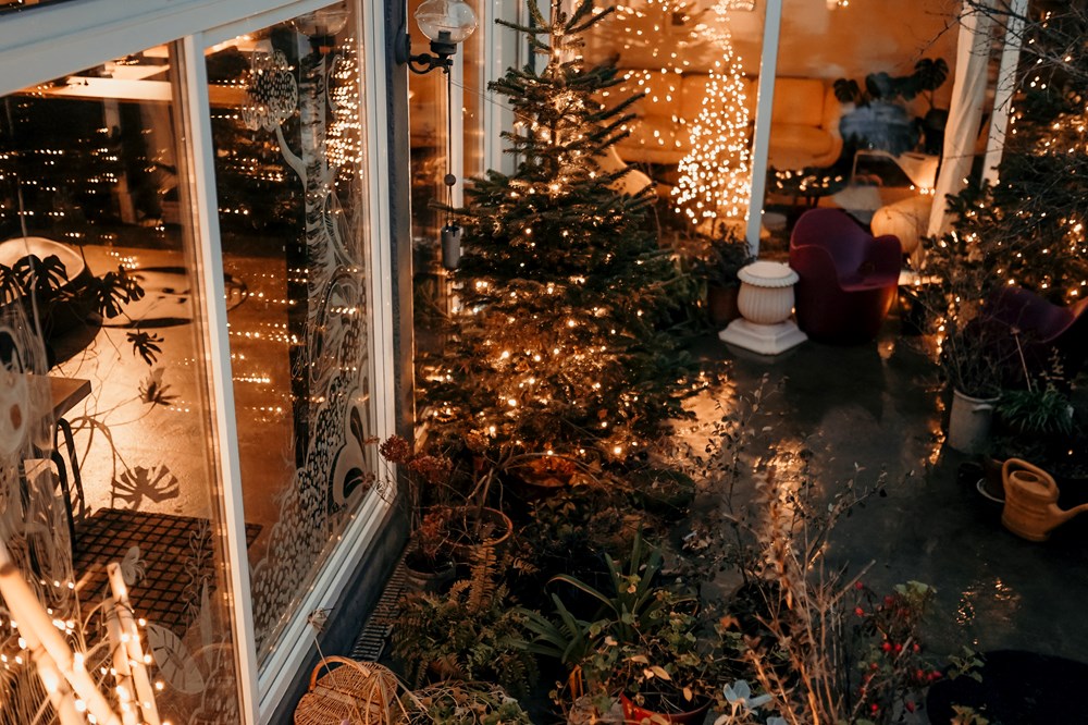 Prostor ispred kuće prava je čarobna šuma te je sastavni dio božićne bajke u samoj kući Dragane Sapanjoš (Snimila Ana Bolobicchio Anuschka)